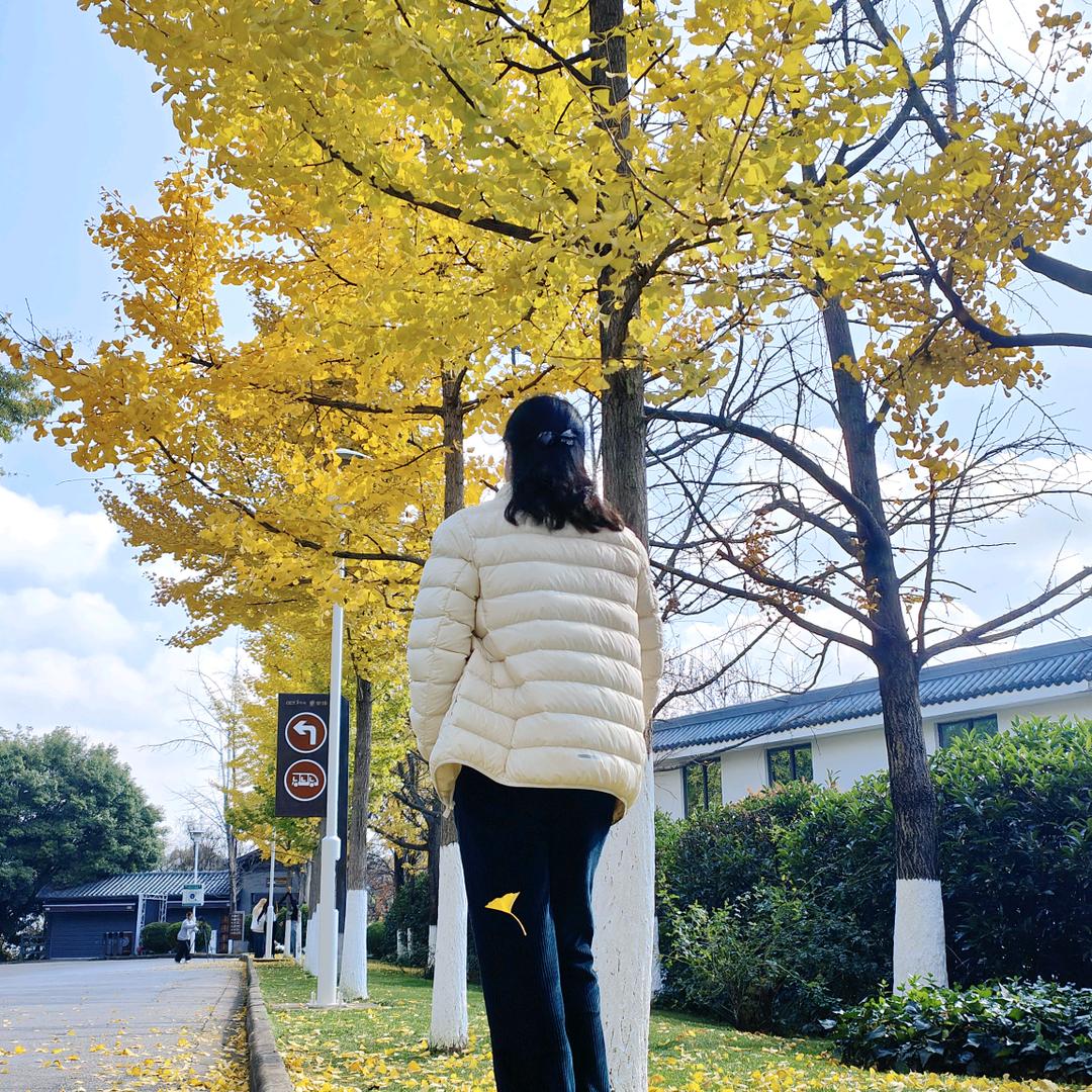 南瓜🎃