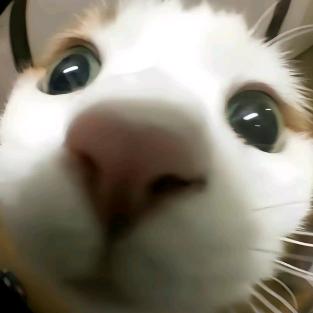 O_o