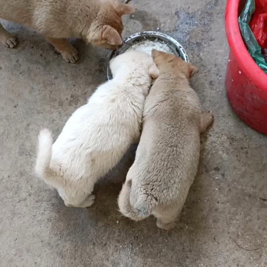 一生友谊