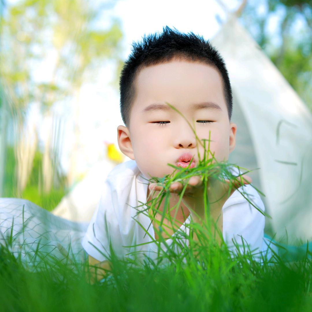 ✨快乐白分白✨