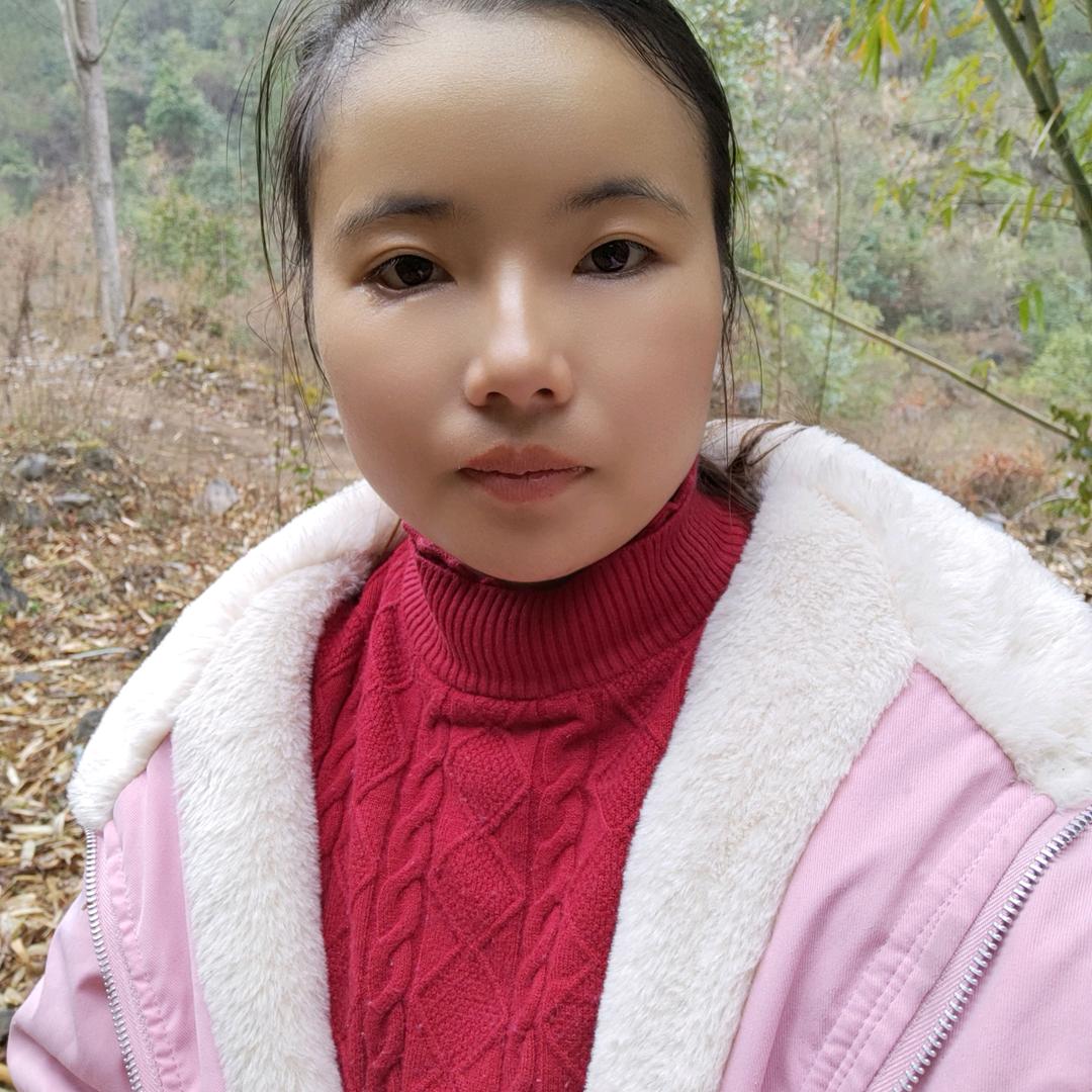 何家大小姐