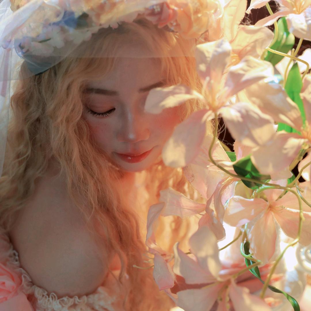 🍊芷（是橙子不是橘子)