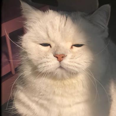 悲伤的冰淇淋🍦