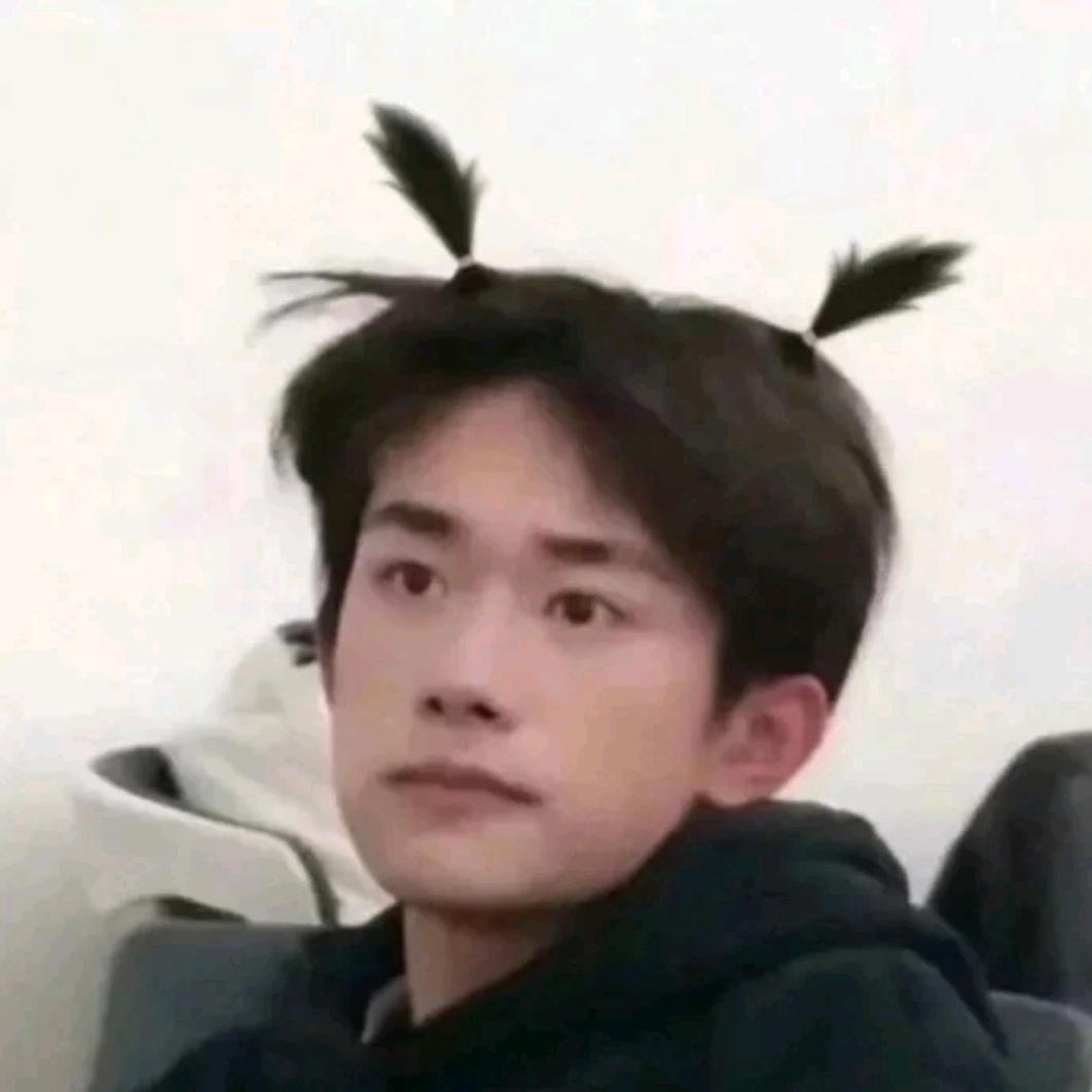 yangyayang