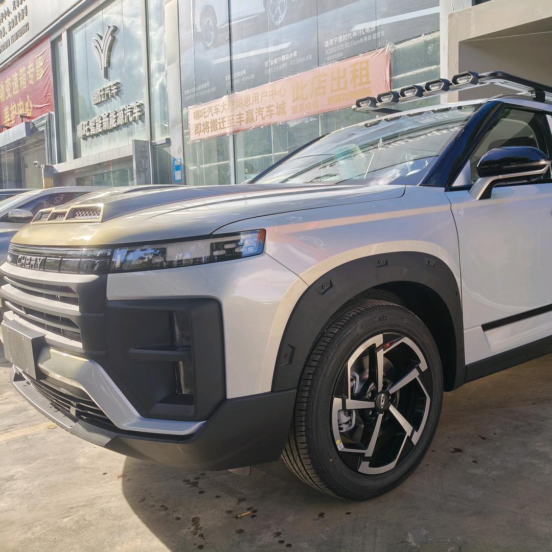 大理彰诚奇瑞_阿成