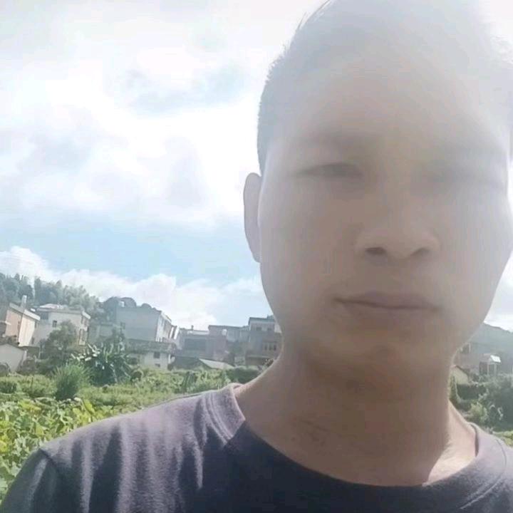 竹影情风：