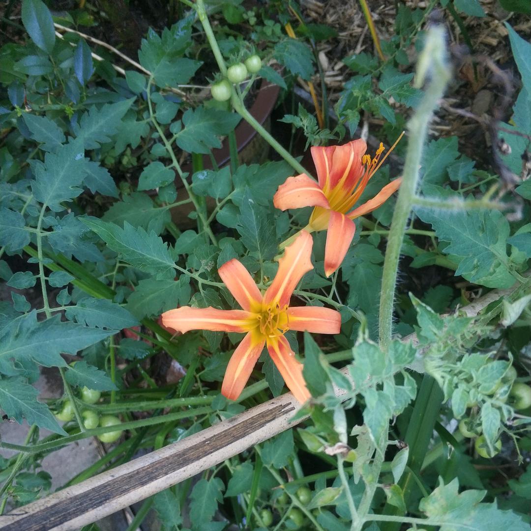 天乐宝宝