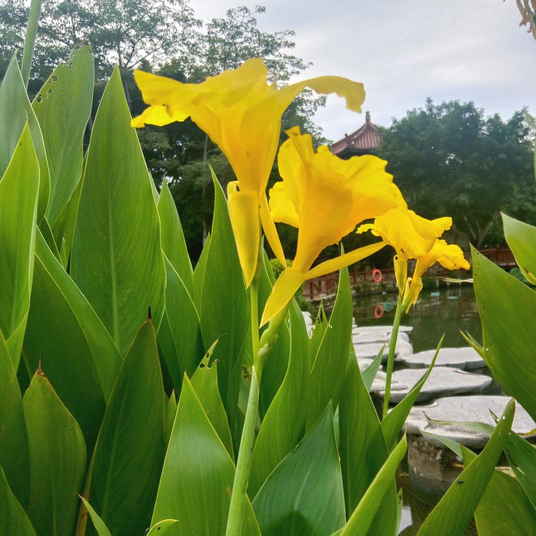 秋天阳光
