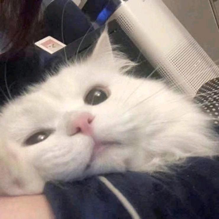 。