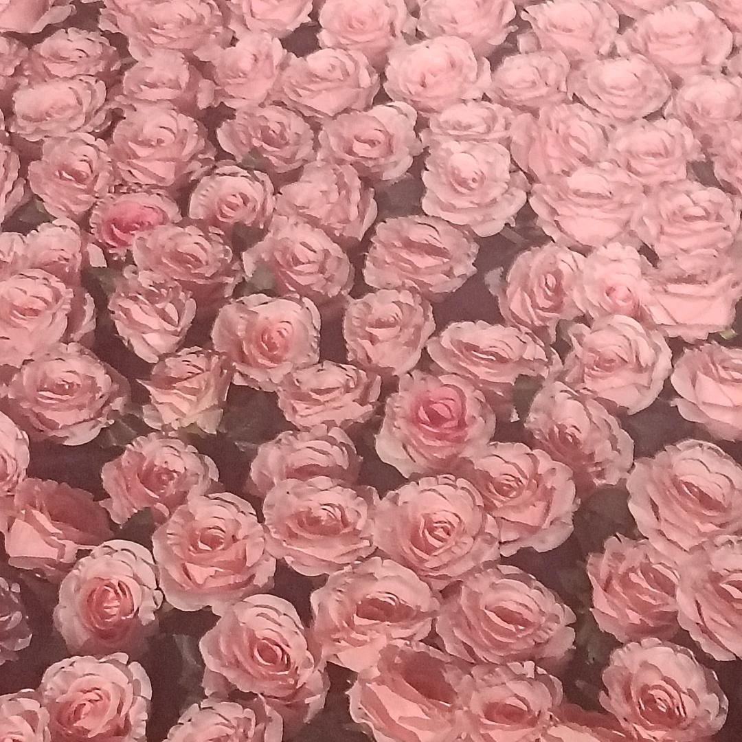 简单一点点