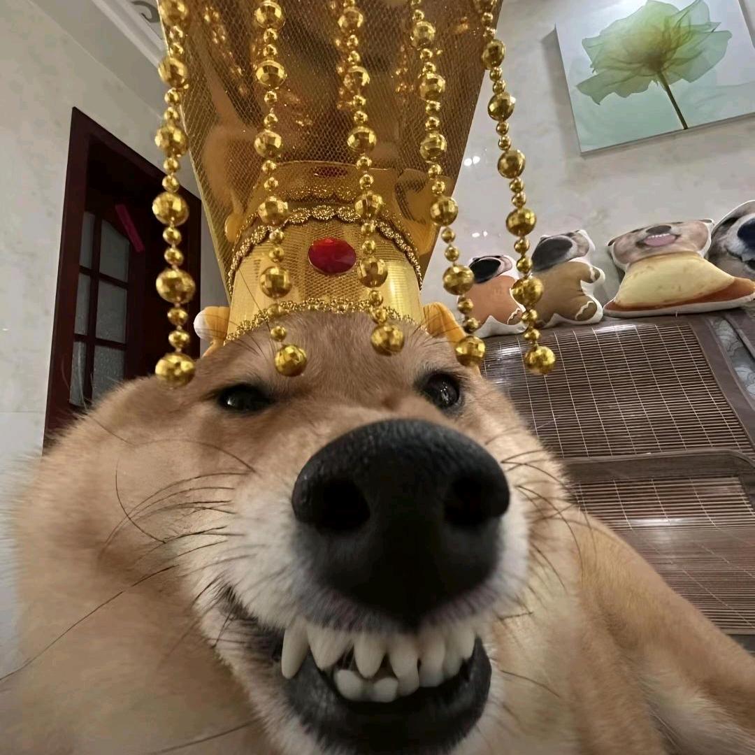 纸片人