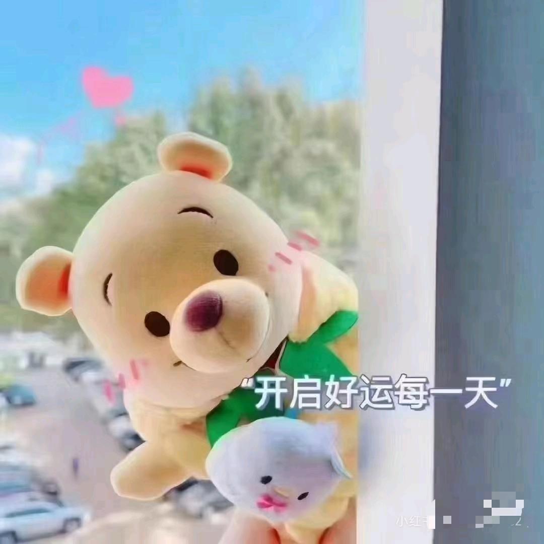 桂D的哥哥✔