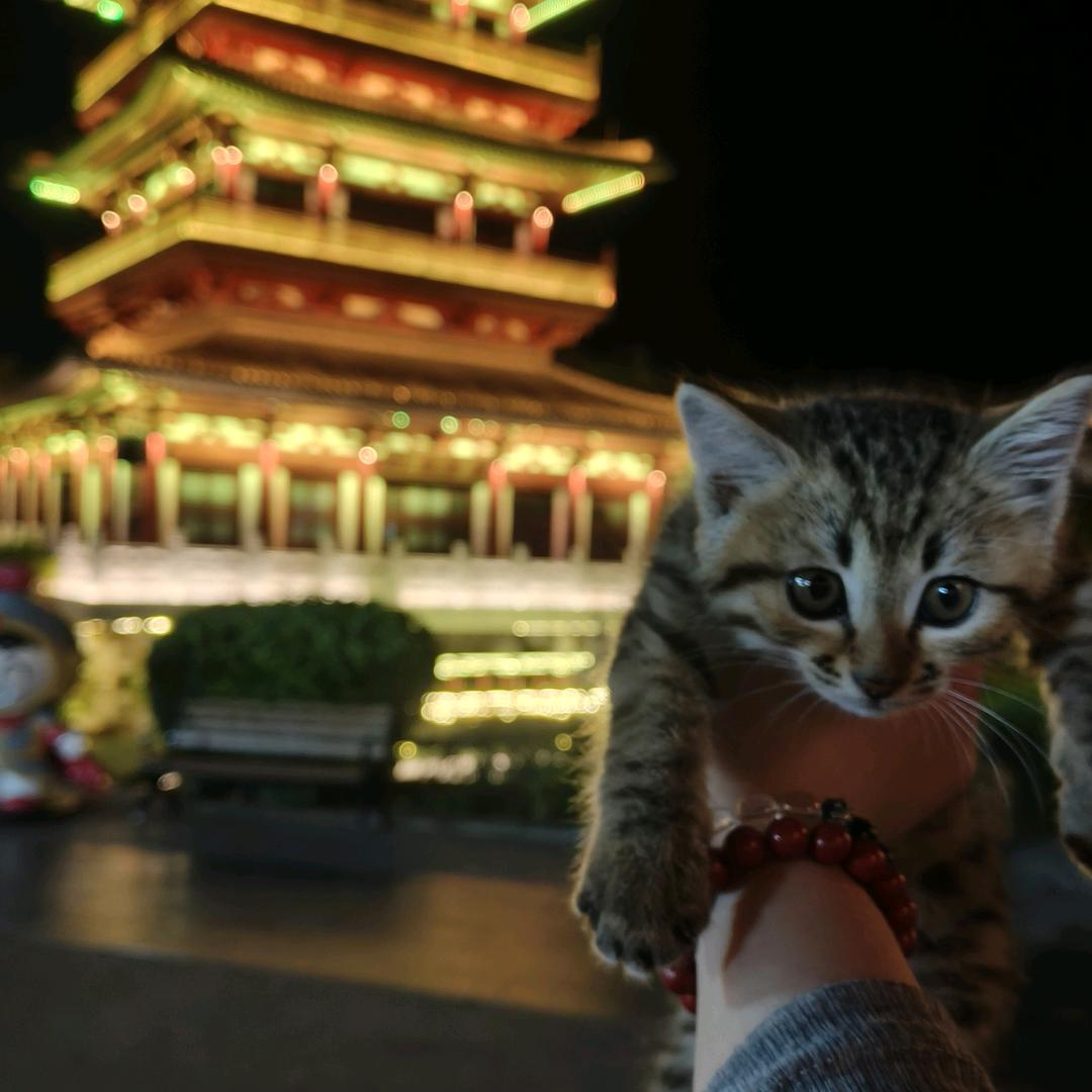 小满