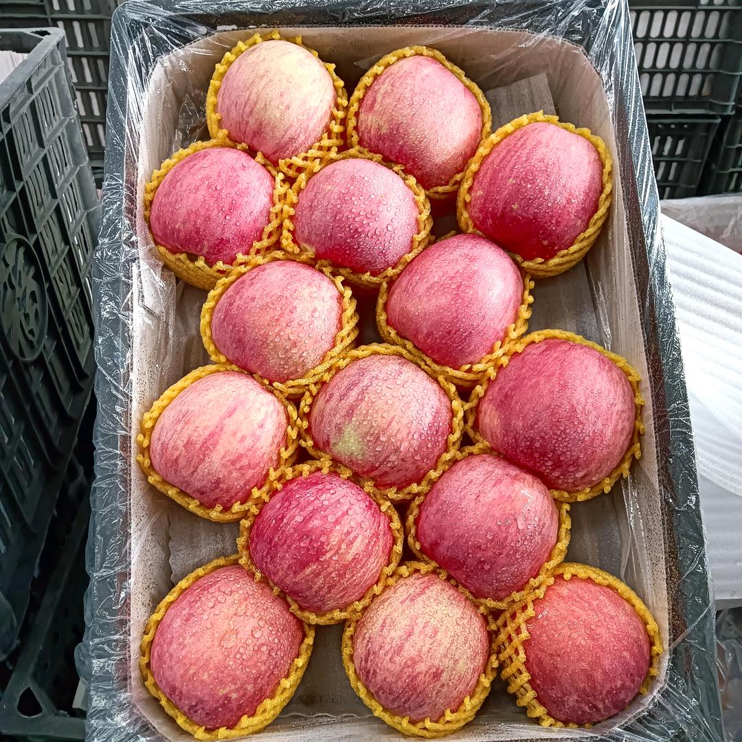 陕北红富士苹果