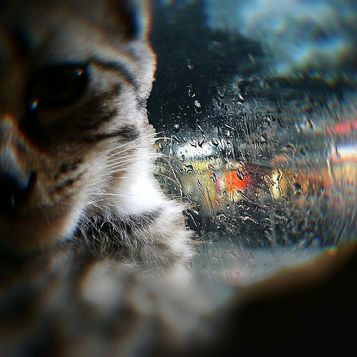 哦哦(时煦)
