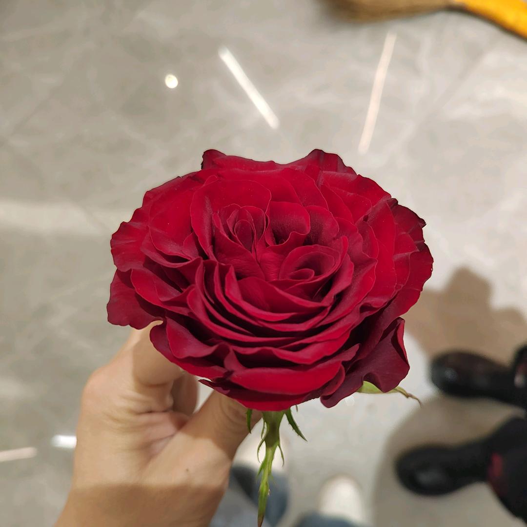 爱吃芒果的妹妹