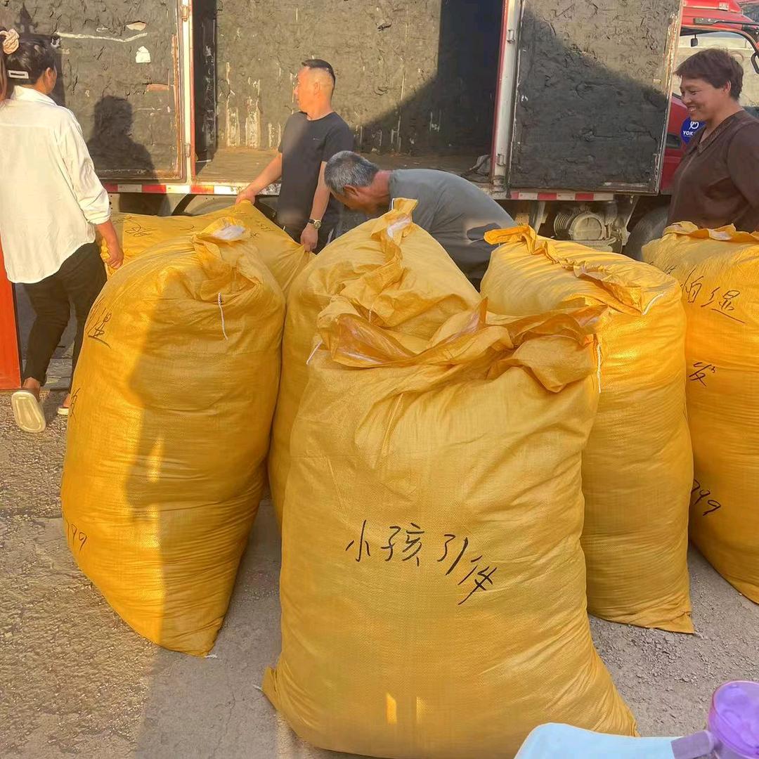 高端女装精品单件供应商