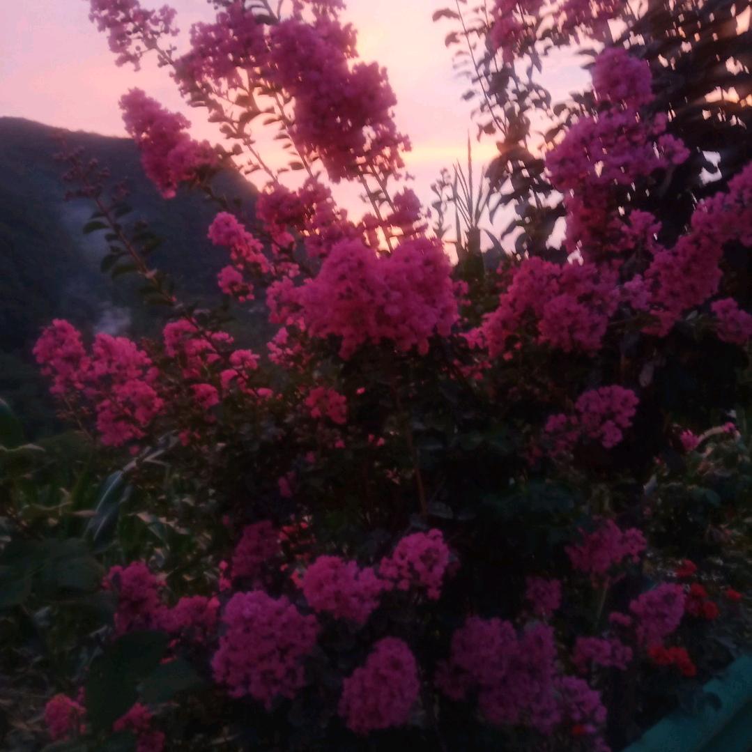 枯心易凉