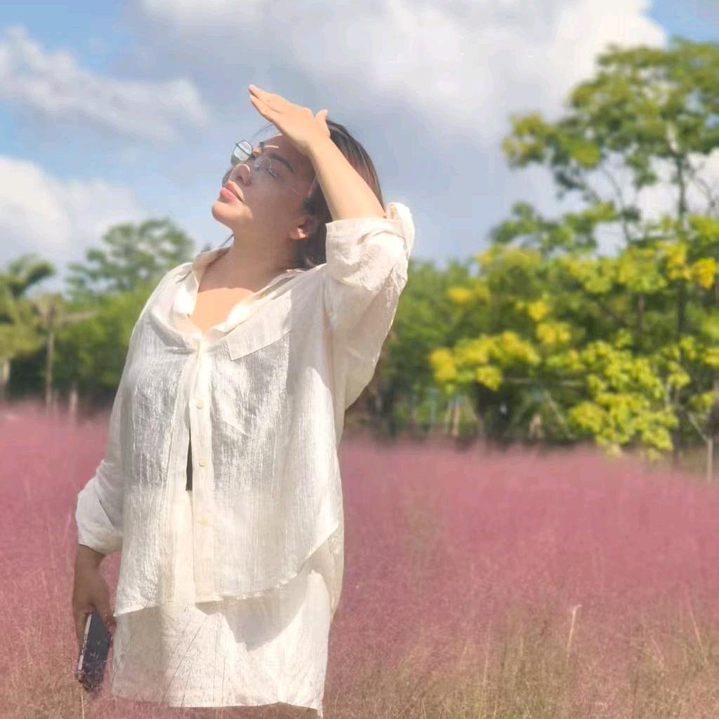 杨不懒