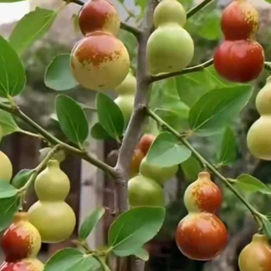 了无牵挂(^^)《拒私聊>》