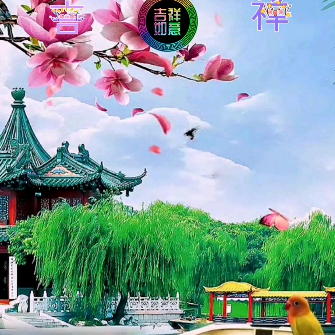 shanywan