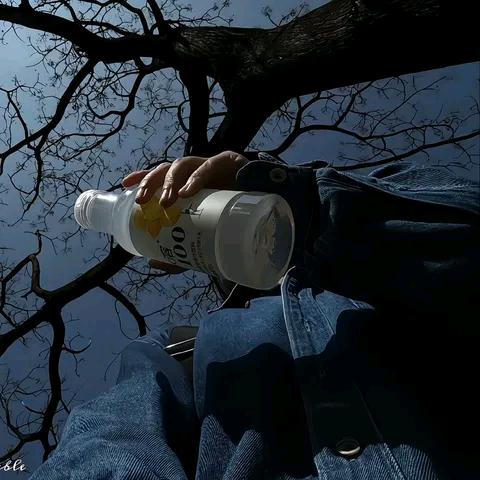 💜💛与夏挽月💛💜