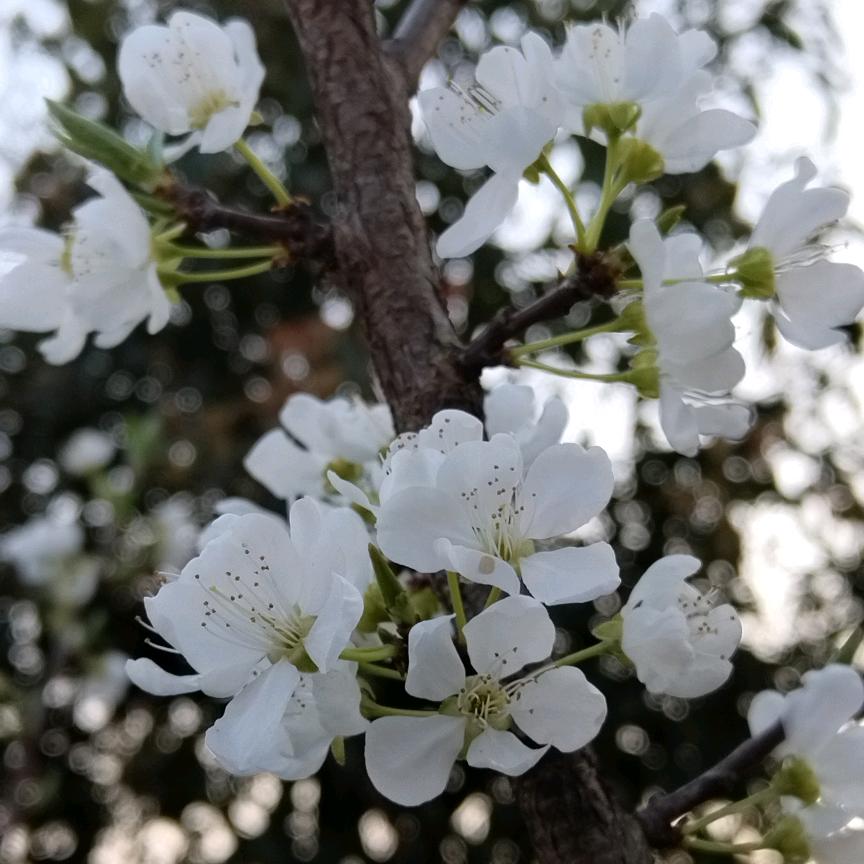 一切都会好起来