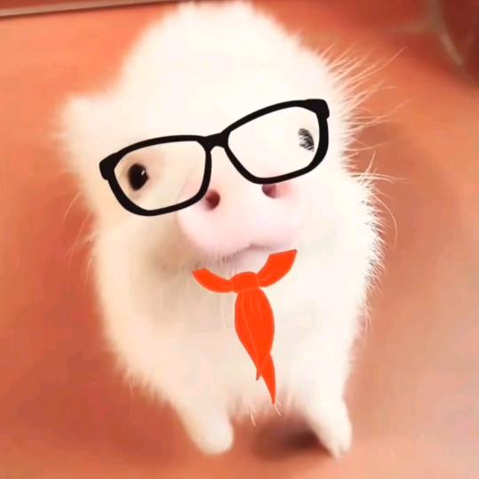 宇城飞