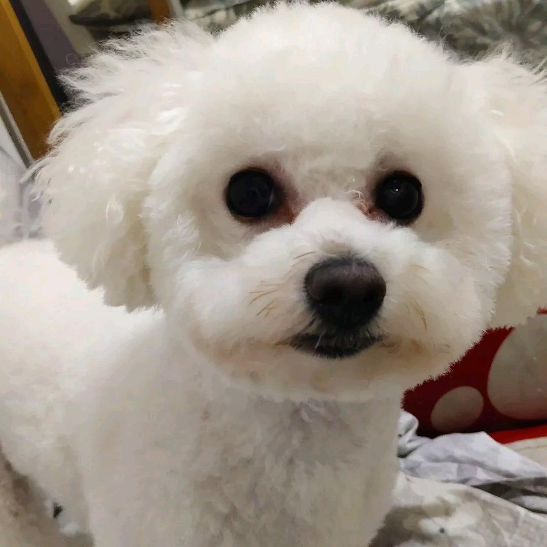 独醉笑清风