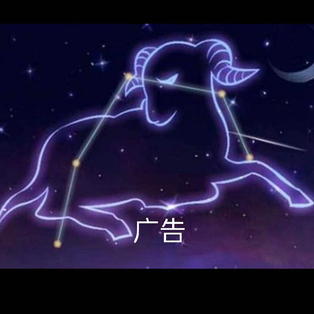 波锅来哒