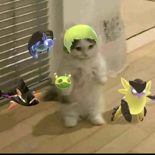 努力成为宝可梦大师