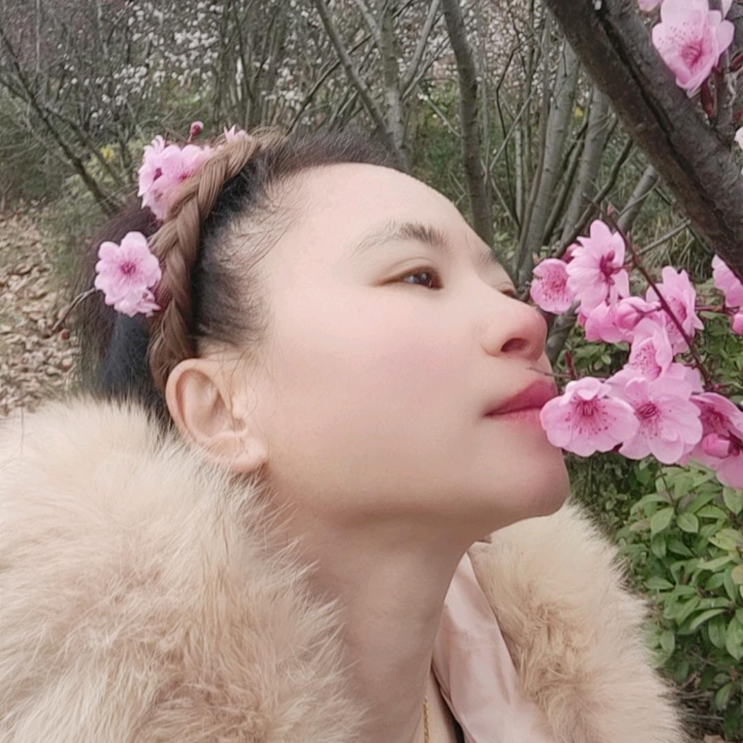 杨家、五姑娘