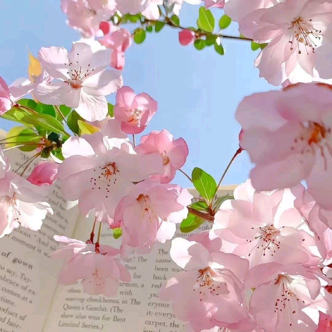 一定要早睡啊（接好运版）