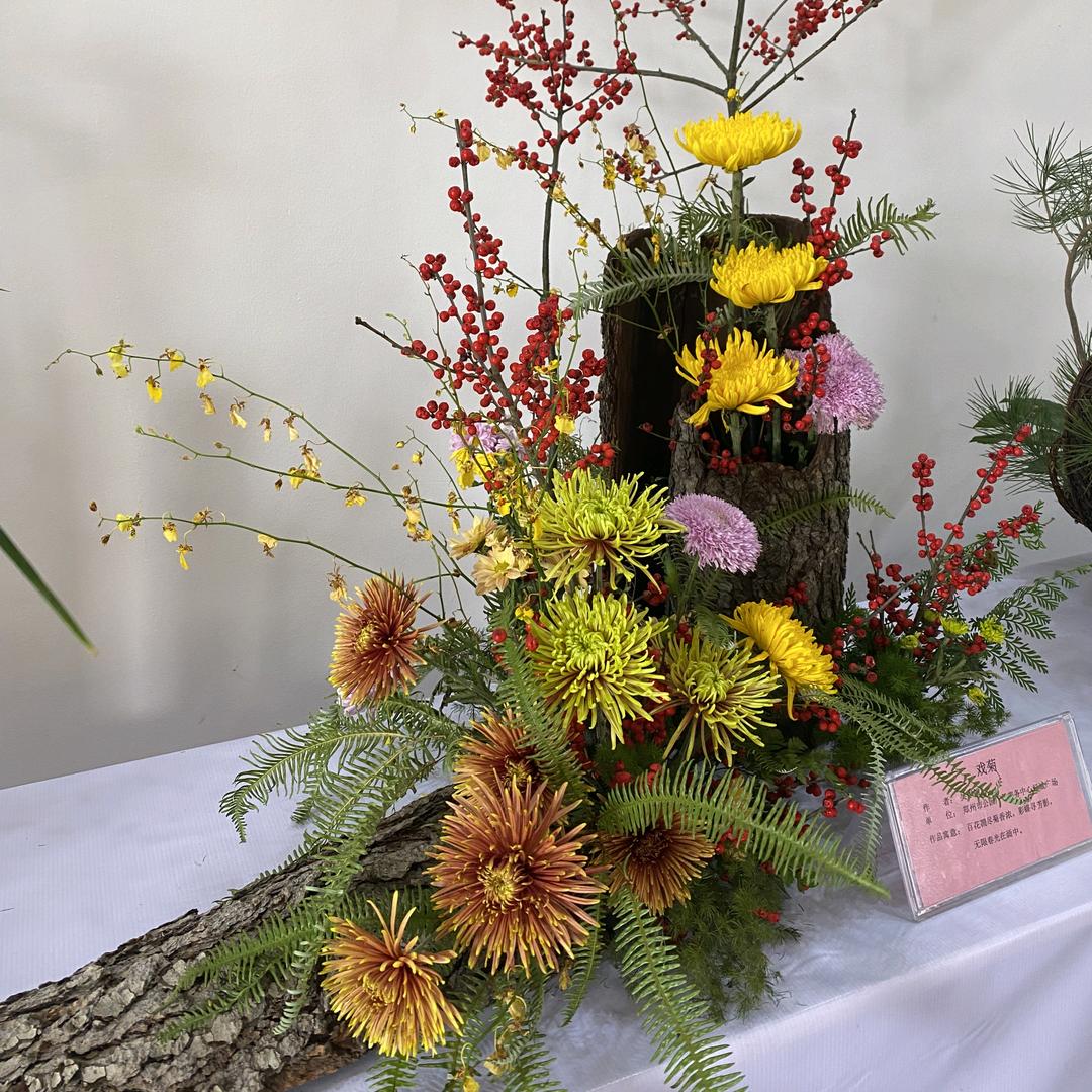 全职宝妈带俩儿