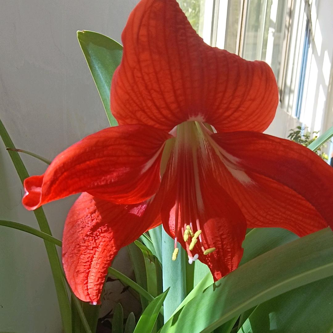 用户2350274570508开心快乐