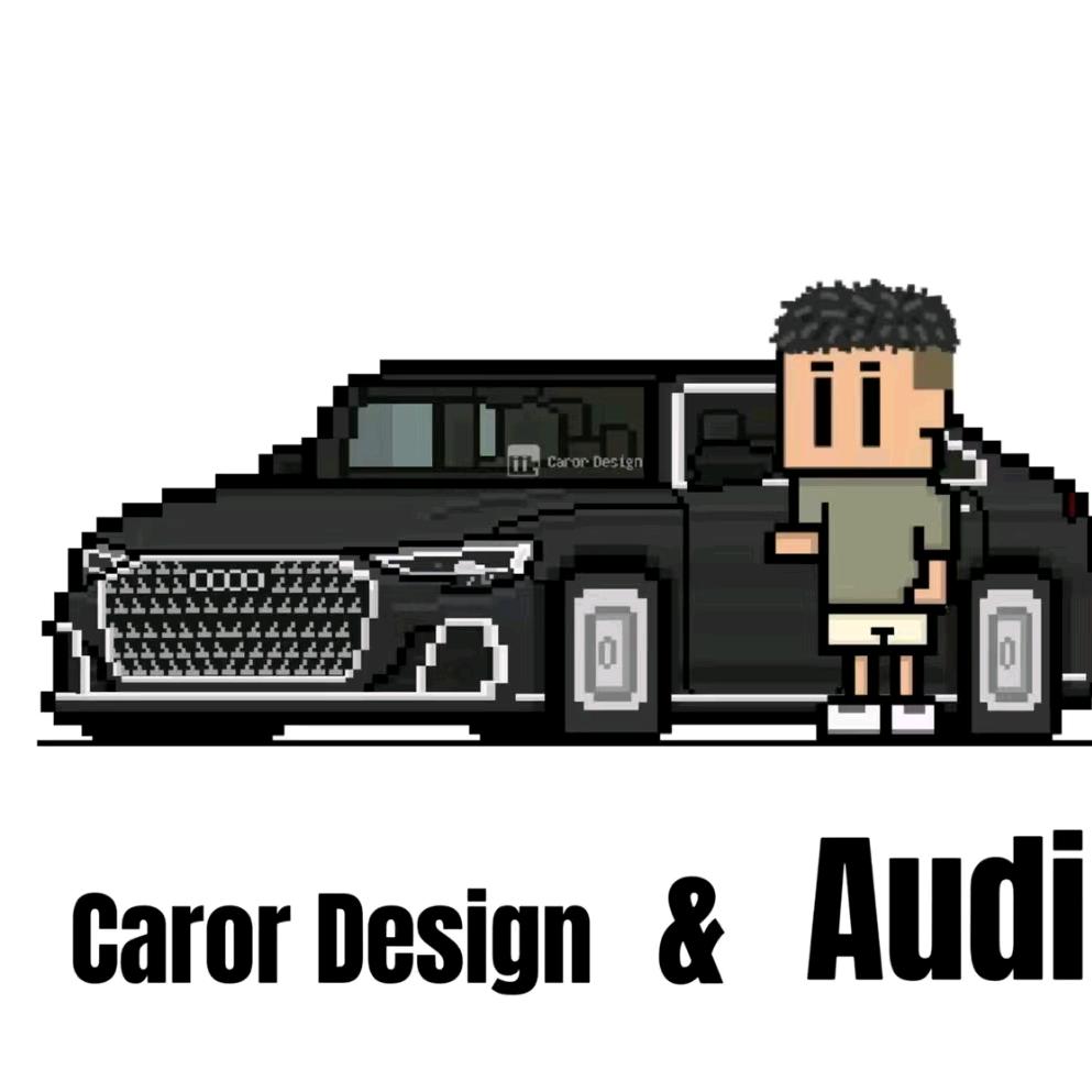 Audi & 郑伟 包牌奥迪