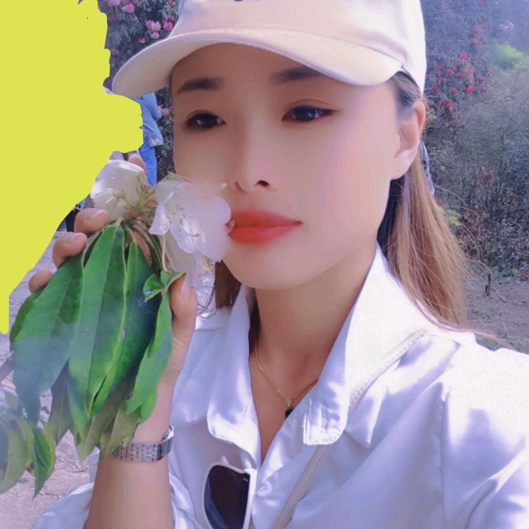 ༺酸梅子༻