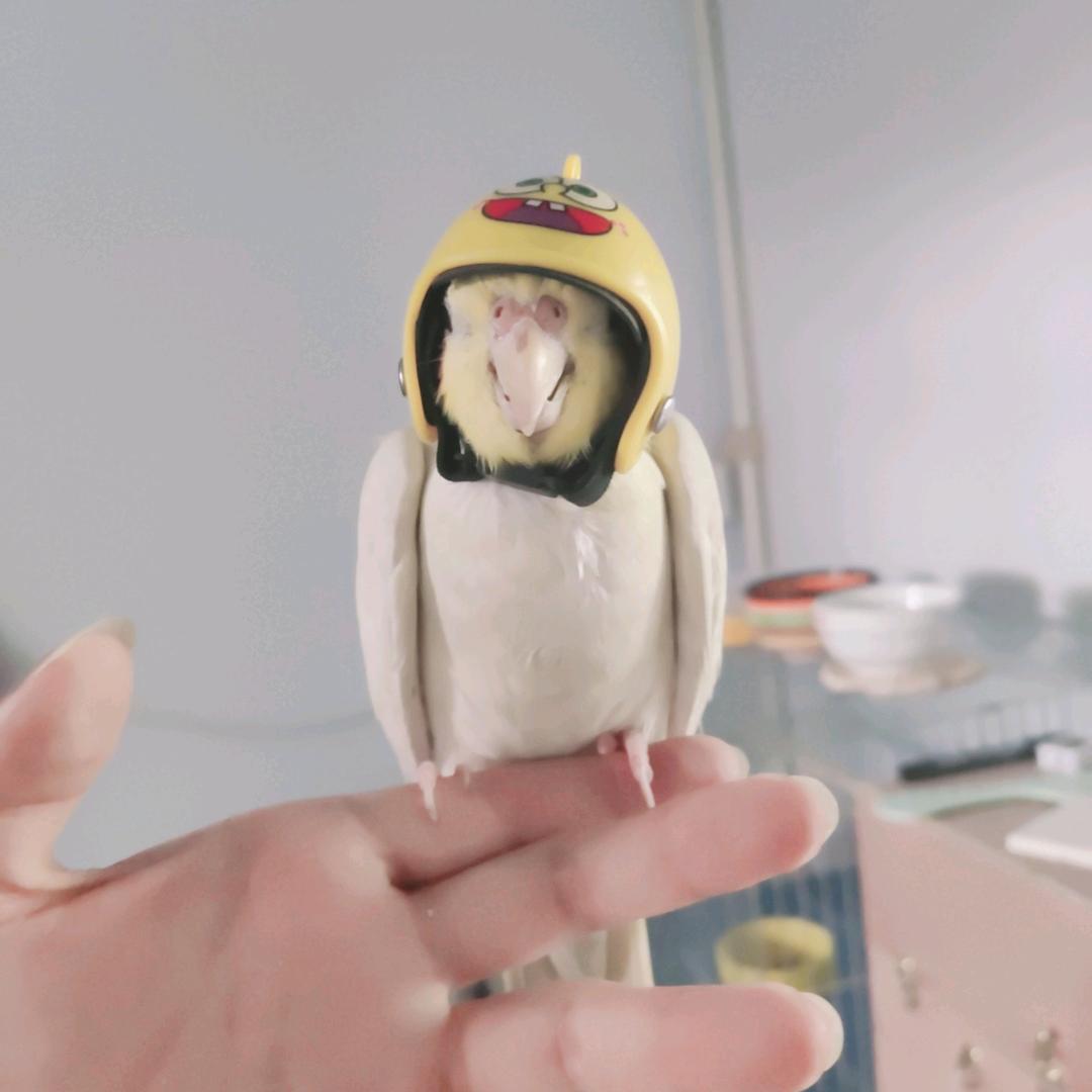 ‖来财丶