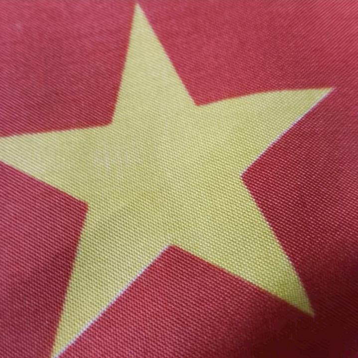 一心向党🇨🇳♥️🌻学习雷锋
