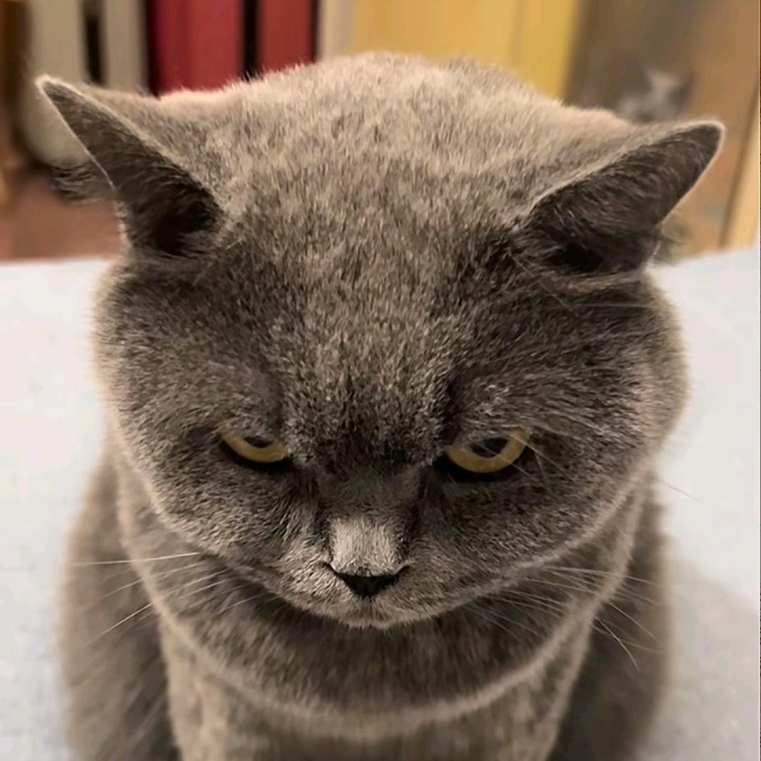 佳