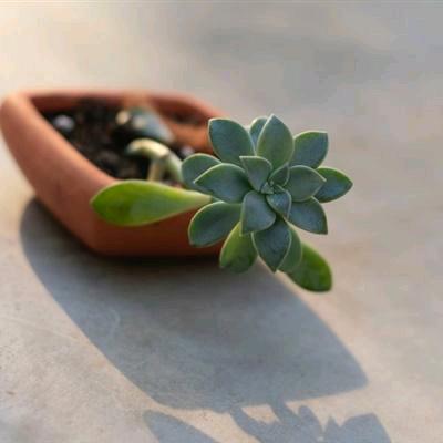 快乐每一天😉😉