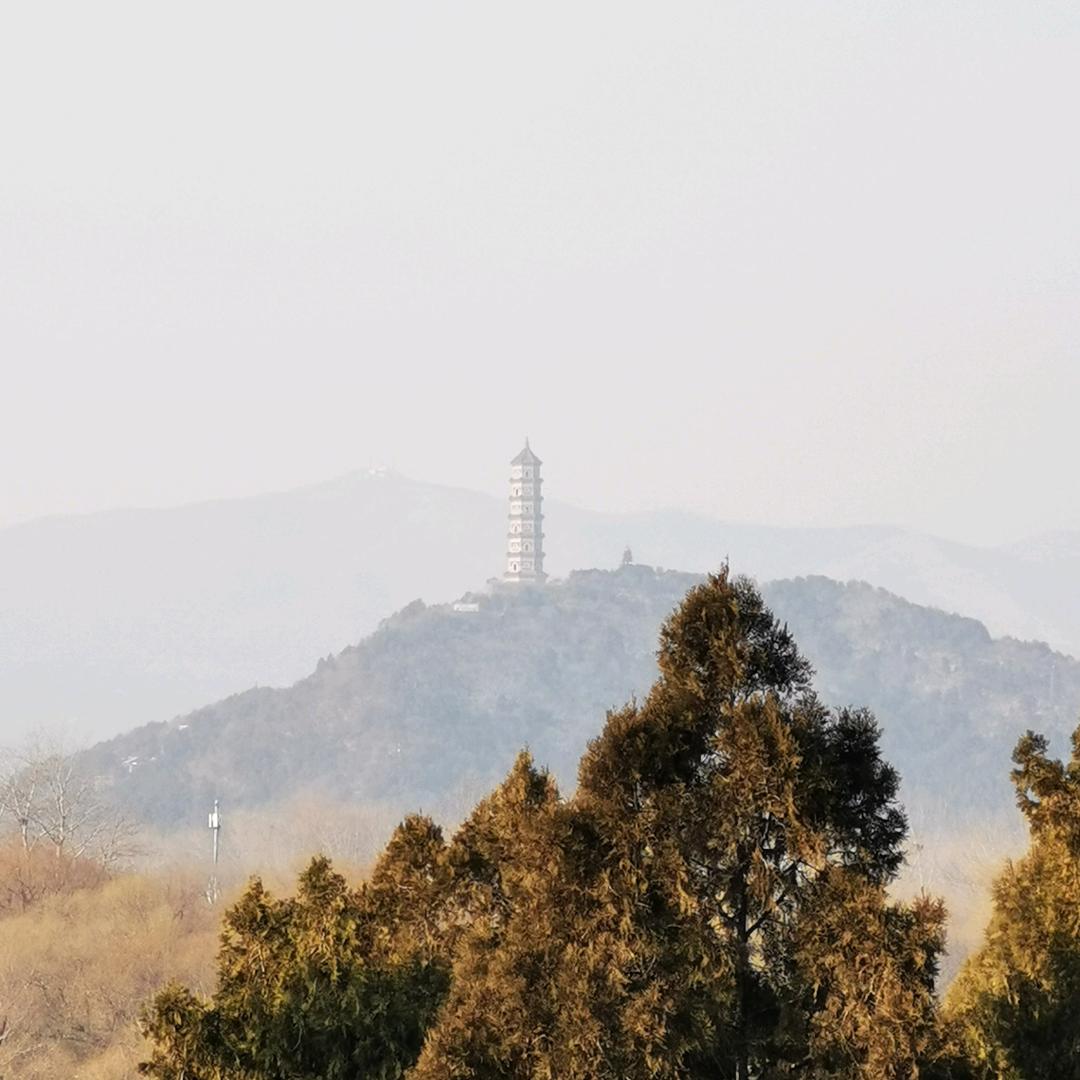 医苦思甜