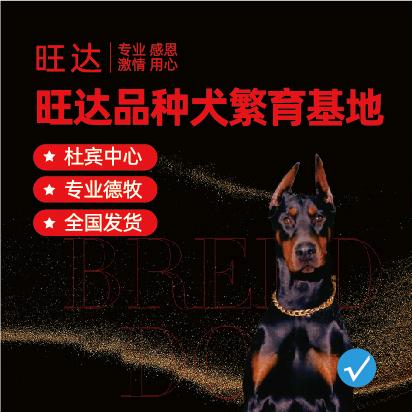 旺达品种犬繁育基地