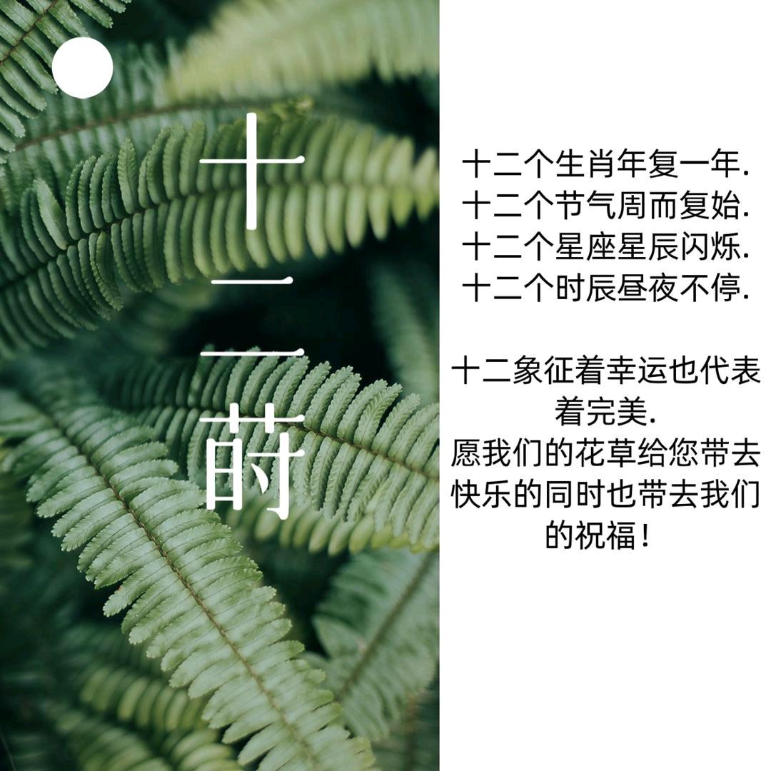 十二莳