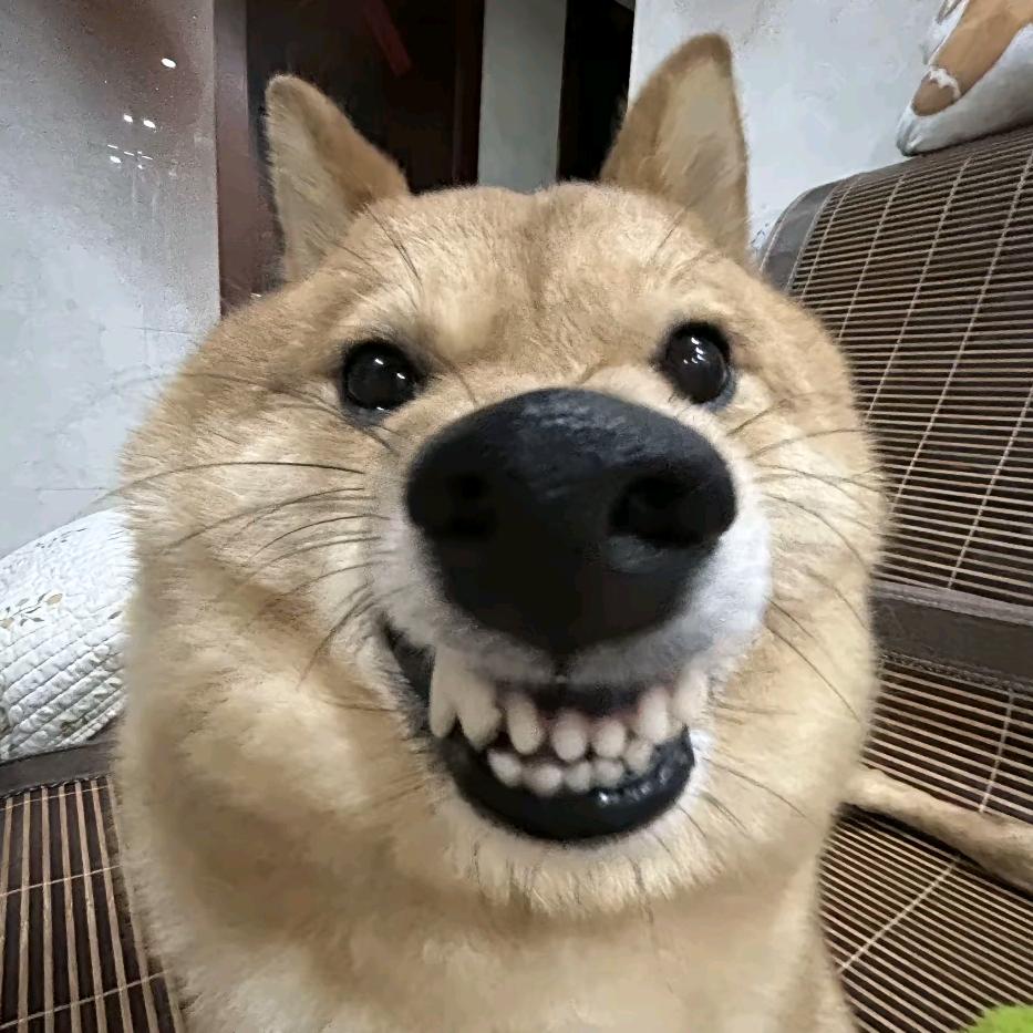 长尺🤪