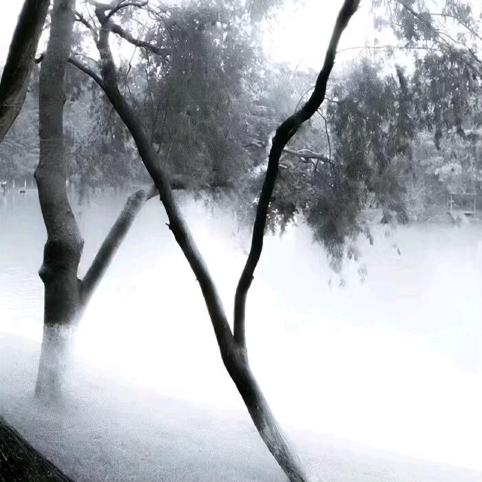 __First snow
