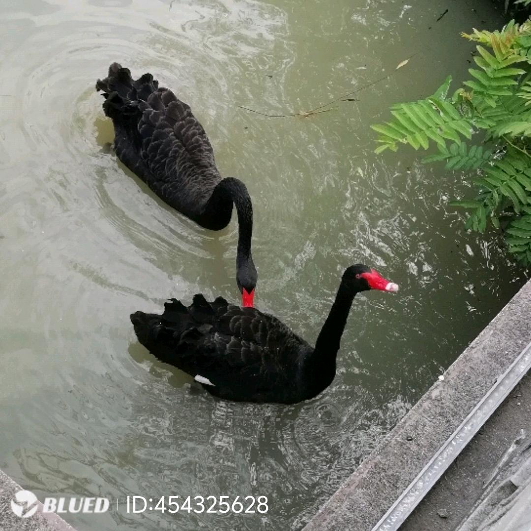 小坤