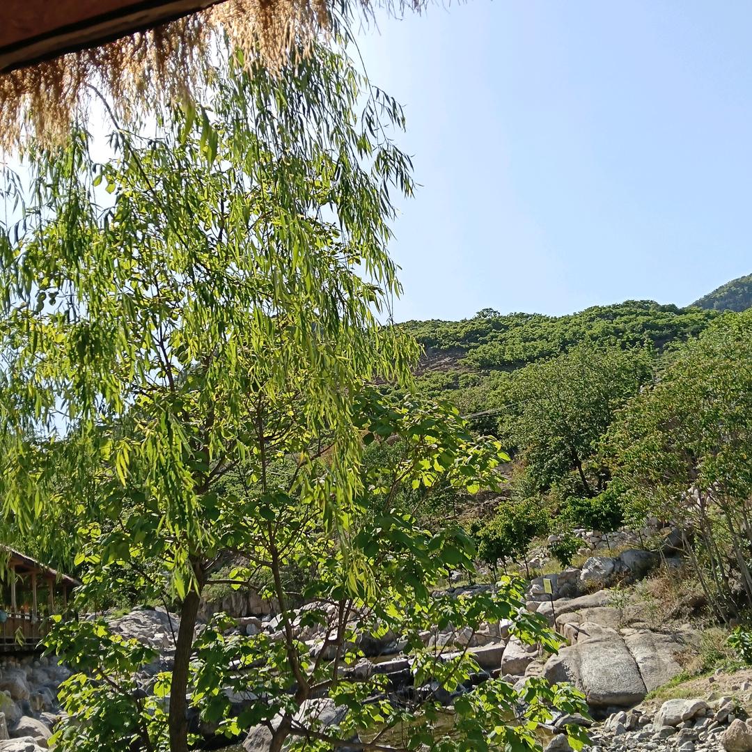 临沂兰山北音艺术学校