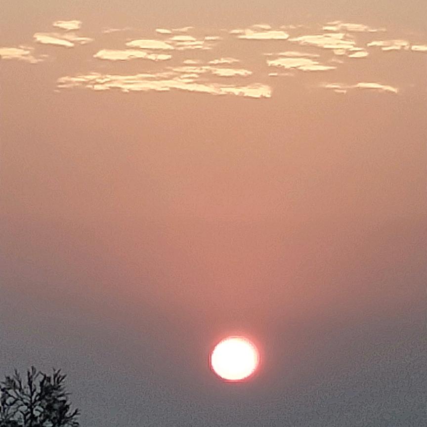 人生知自最难求