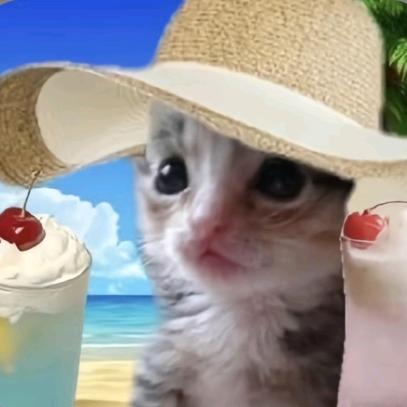 🌈房间下起rain🐱